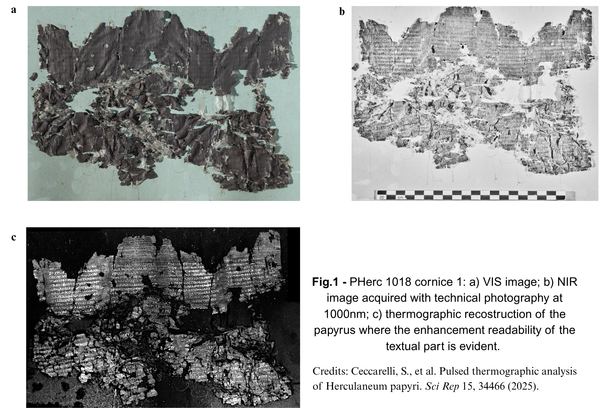 Figure 1_PT_Papyri.jpg