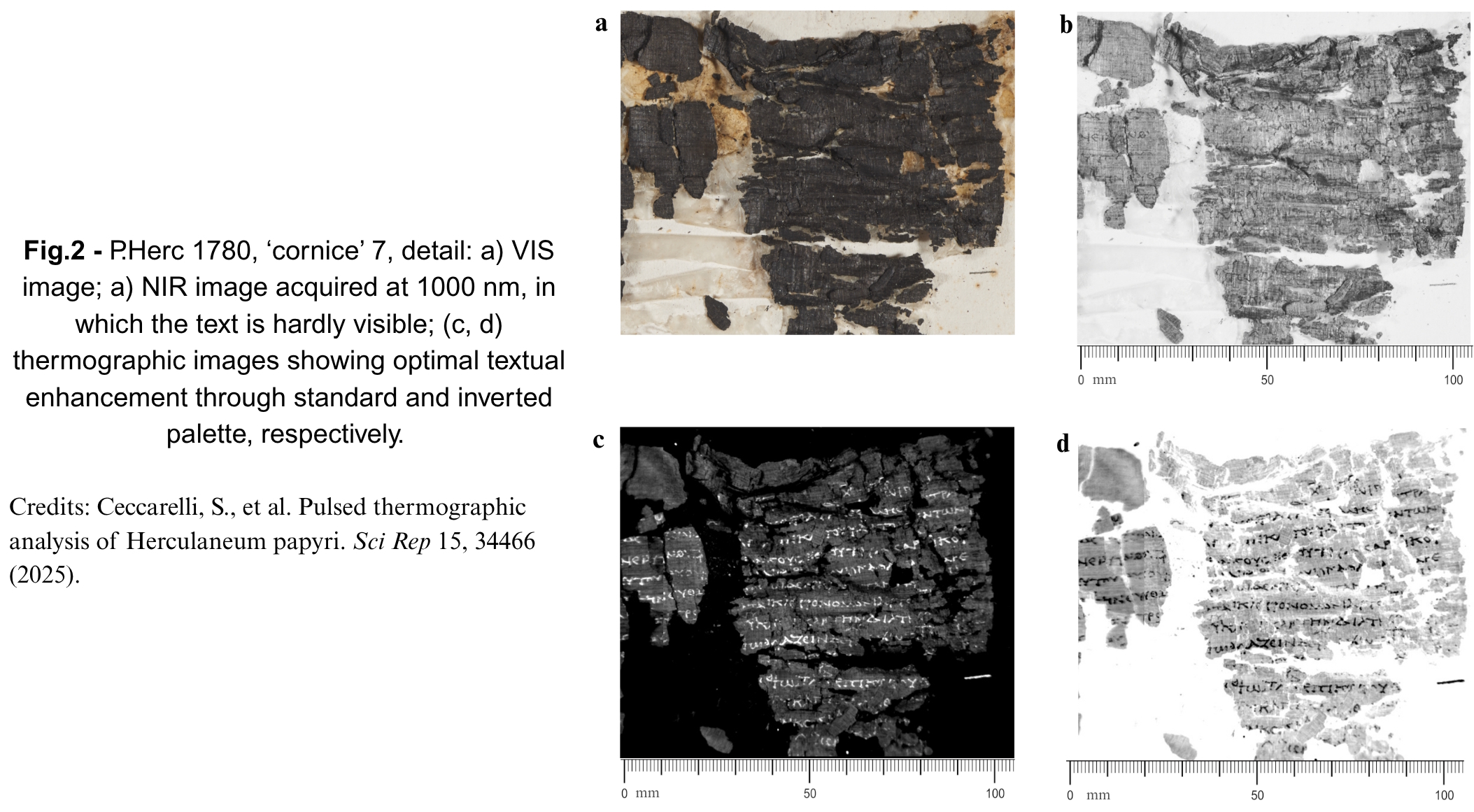 Figure 2_PT_Papyri.jpg